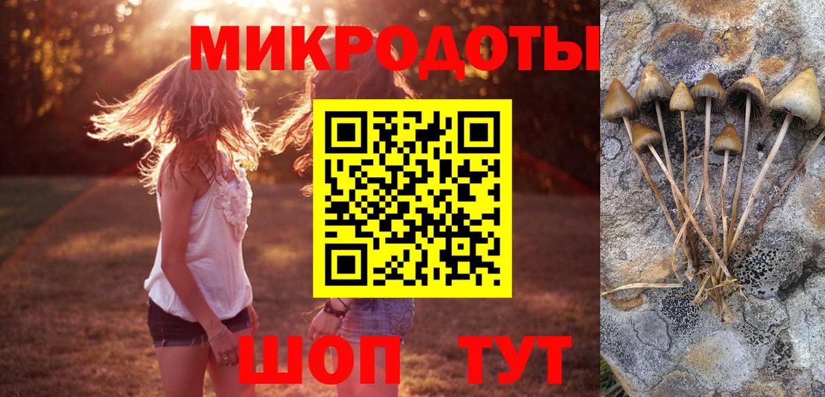 Псилоцибиновые грибы Psilocybine cubensis Калуга