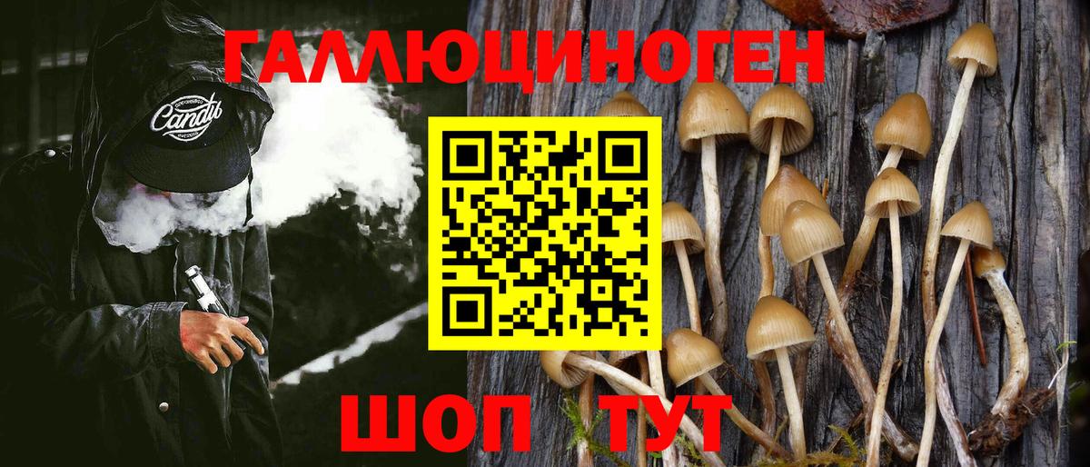 Псилоцибиновые грибы GOLDEN TEACHER  Вход с VPN  Псилоцибиновые грибы Psilocybine cubensis  Калуга 
